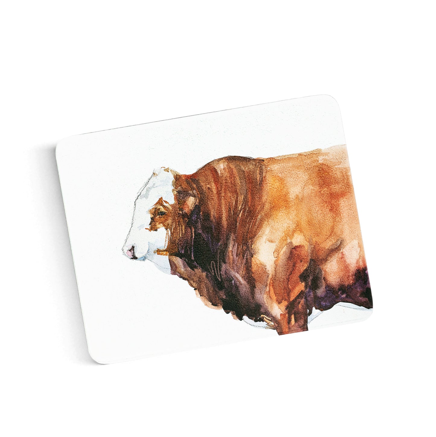 Bull Coasters